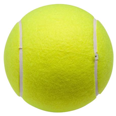 Calendrier ATP Tour 2018 et les vainqueurs