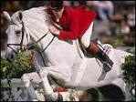 John Whitaker